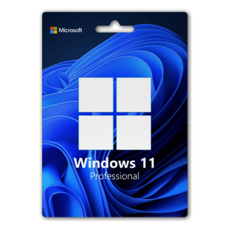Windows 11 Professional (Retail)